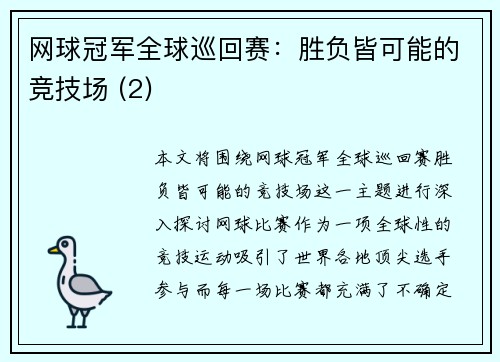 网球冠军全球巡回赛：胜负皆可能的竞技场 (2)